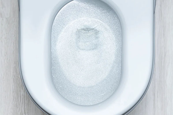 TOTO ネオレスト LS-W AS-W きれい除菌水